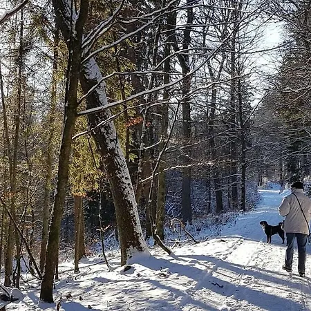 بيت للعطل With 8 Bedrooms