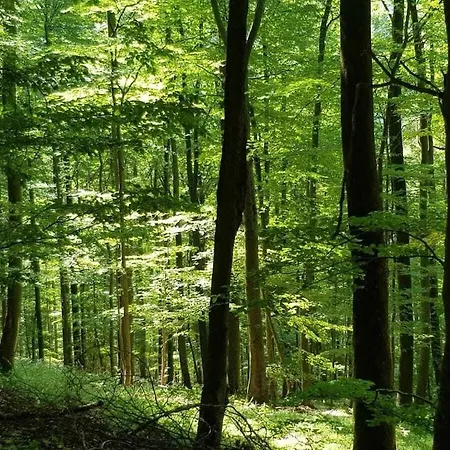 With 8 Bedrooms بيت للعطل Erndtebrück