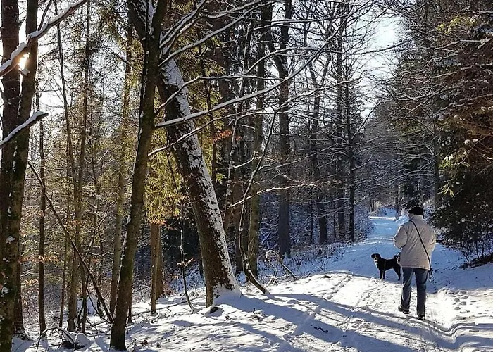 Semesterbostad With 8 Bedrooms