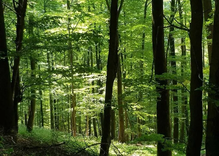 With 8 Bedrooms Semesterbostad Erndtebrück